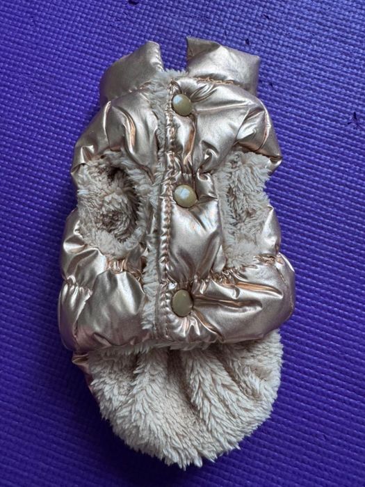 Одежда для собак мелких пород