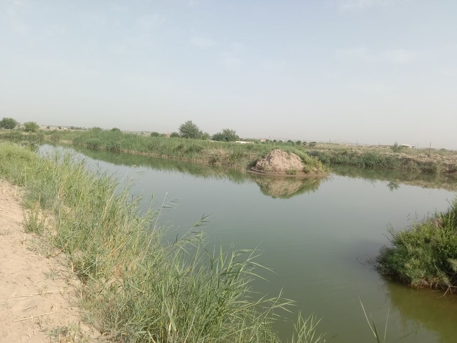 Чорвачилик  Балиқчилик  Ферма  сотилади