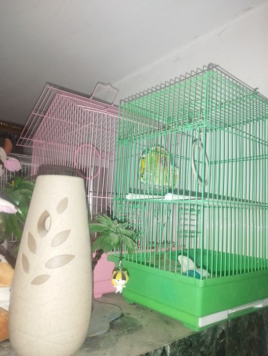 Клетки для птиц три штуки