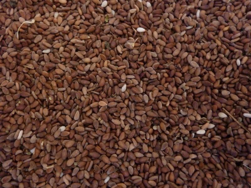 Узбекиски куннжут белы и чёрный