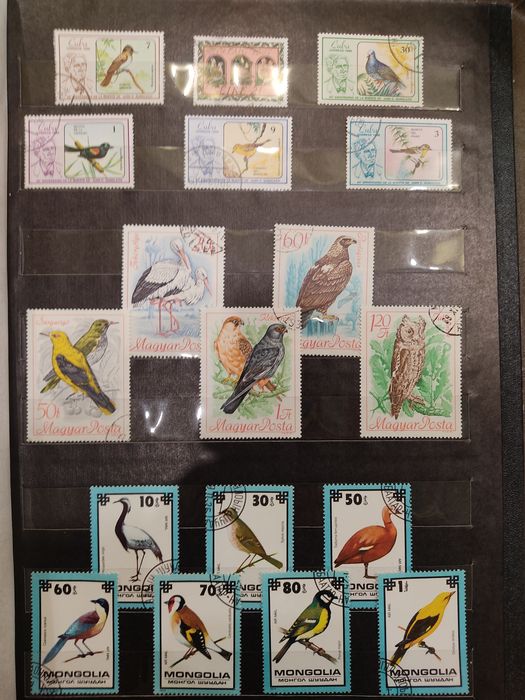 Почтовые марки. Альбом "Птицы".