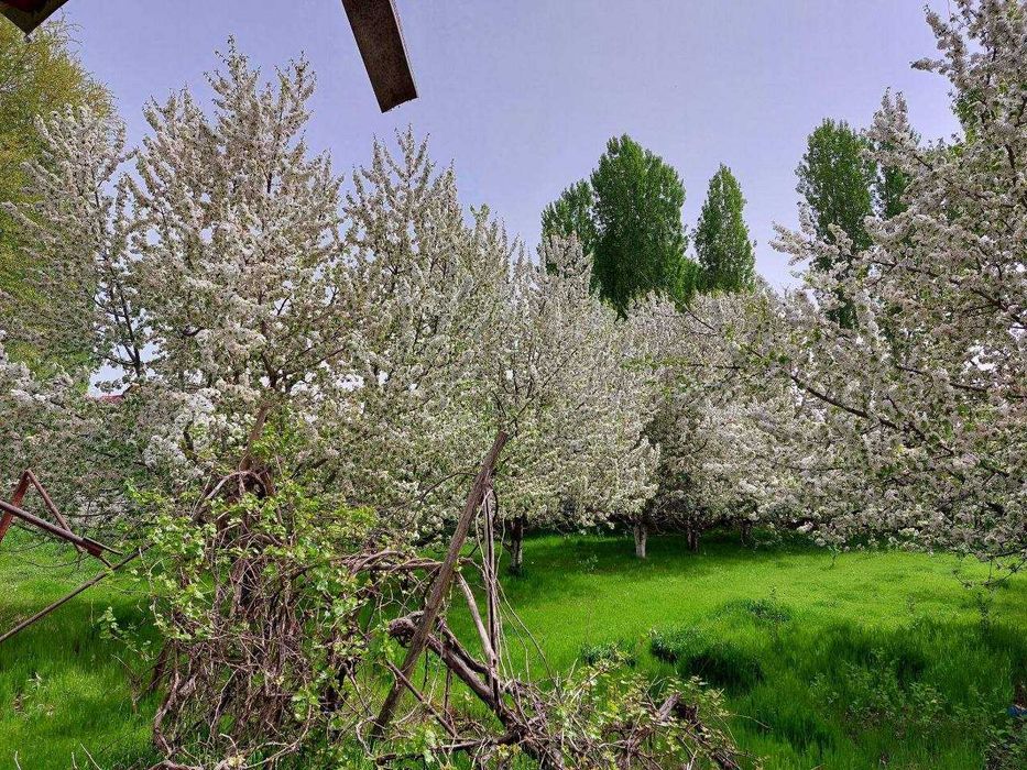 yer sotiladi Zangiota tumani Zangiota ziyoratgohi togrisi