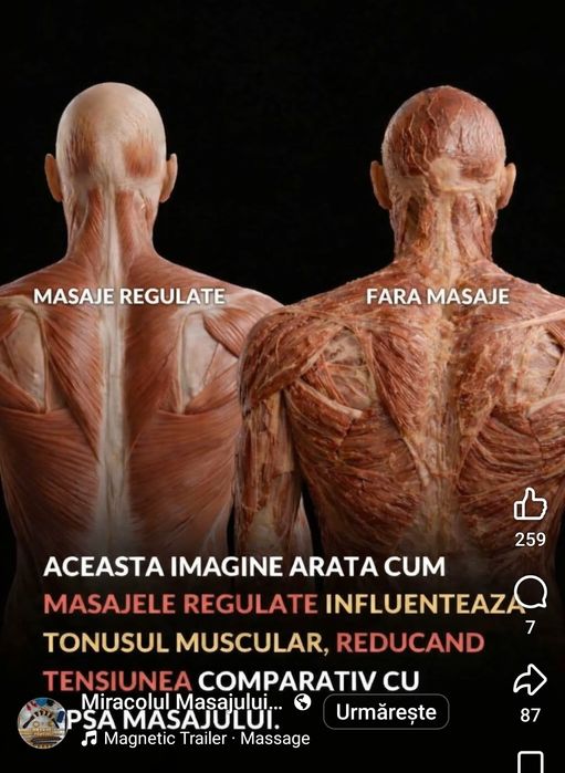 Masaj la domiciliul clientului