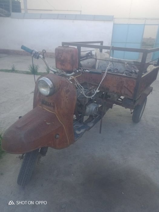 Муравей не на ходу