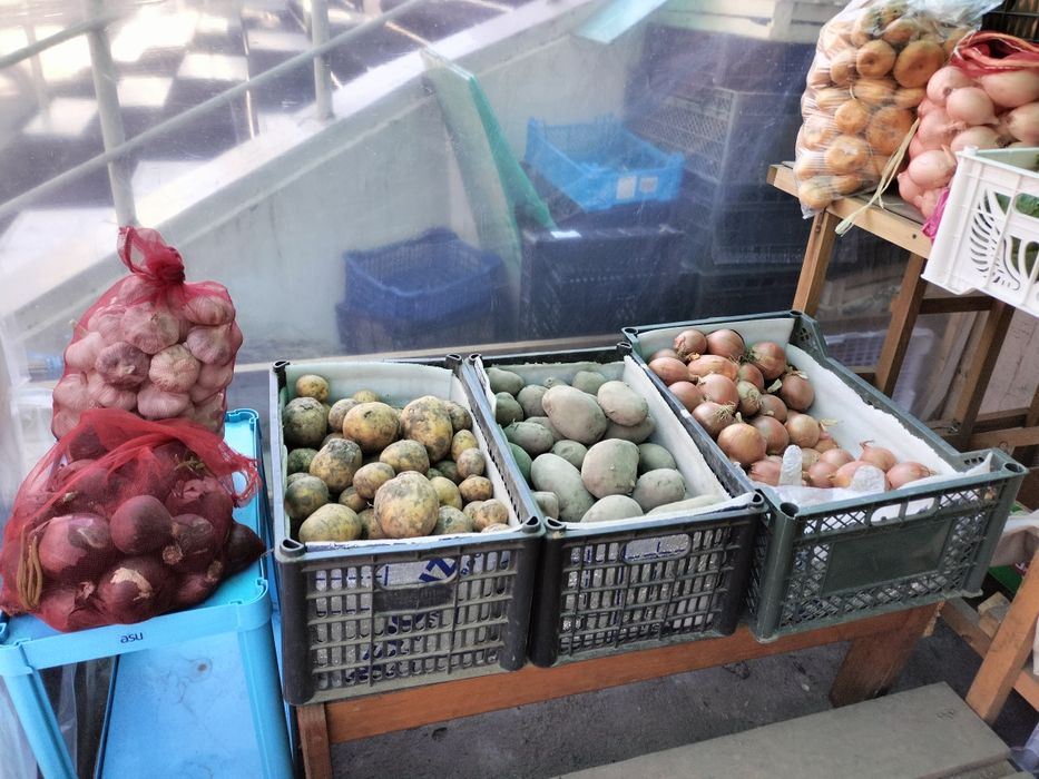 Мева ва сабзовот лавкаси Арендага берилади