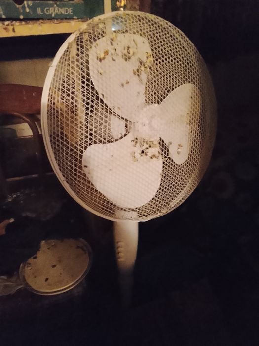 Vând ventilator cu picior 50 lei București Daniel 0766 62 70 86
