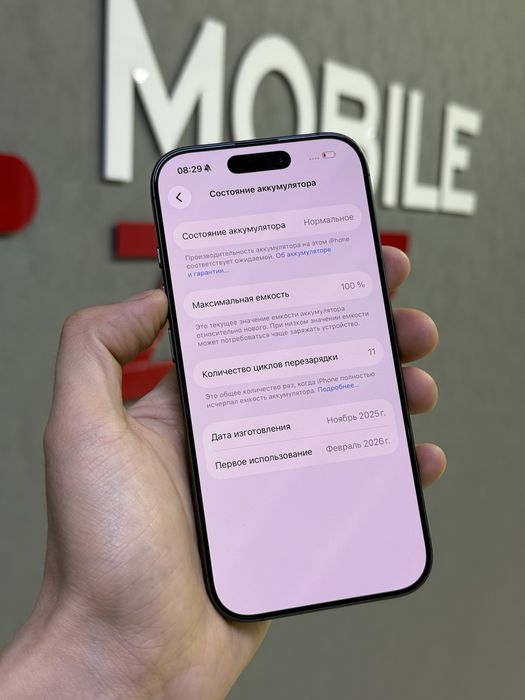 iPhone 17 256 GB АКБ 100% цикл 11 | Mobile Zone