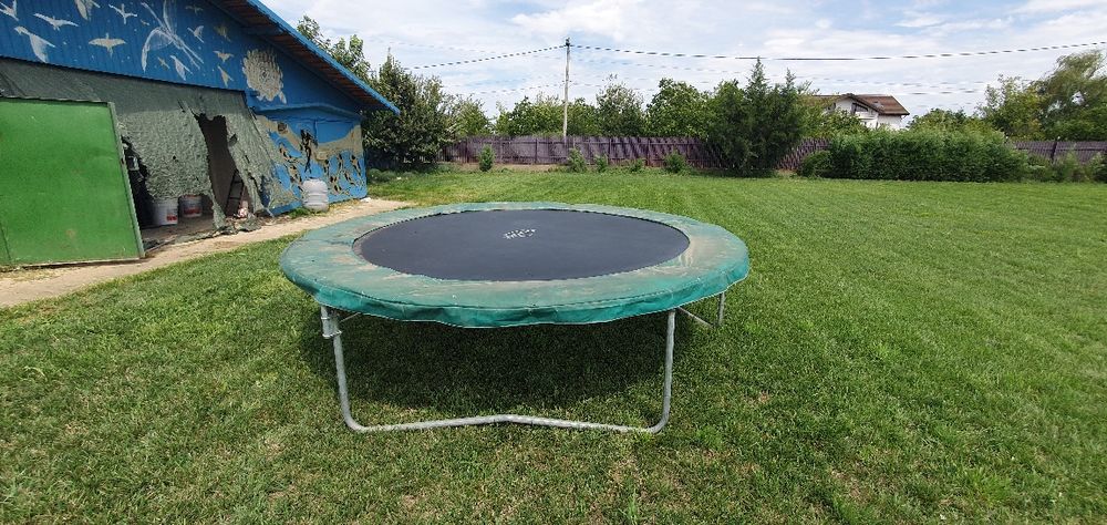 Tranbulina mare cum se vede în poza