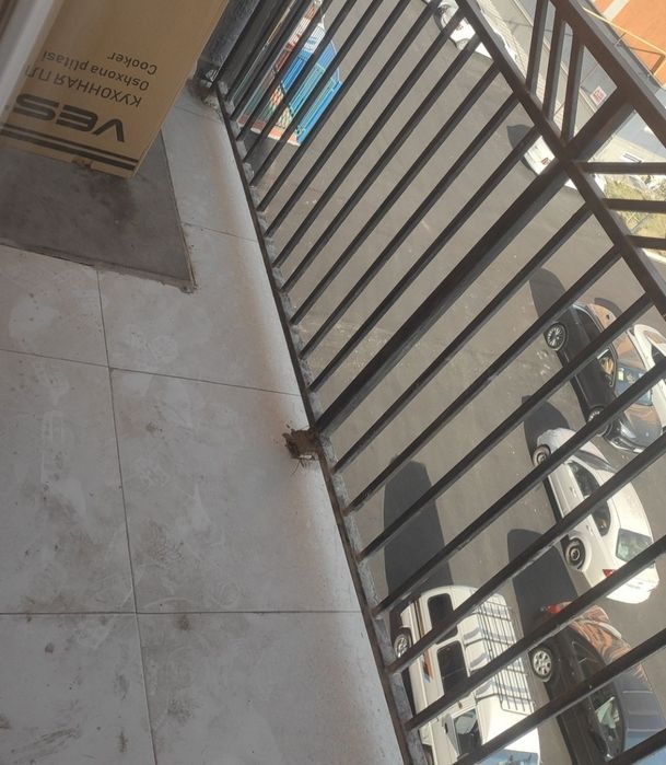 Аренда квартиры 2/4/17 новостройка Бектимирский район Водник . Musafo