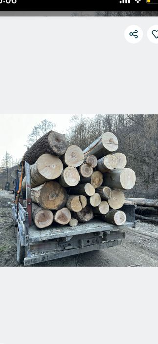 LEMNE FOC cel mai mic pret !