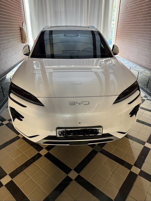 Byd song plus Champion