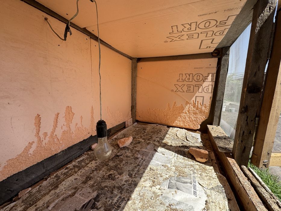 Балапандарға бутка сатылады