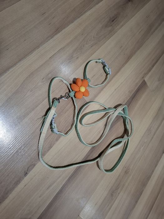 Раздача вещей для котят и кошек