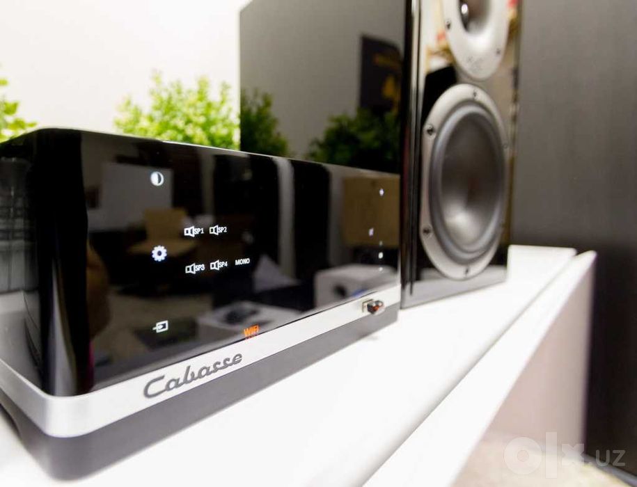 Cabasse Stream AMP. Мультирумный усилитель.