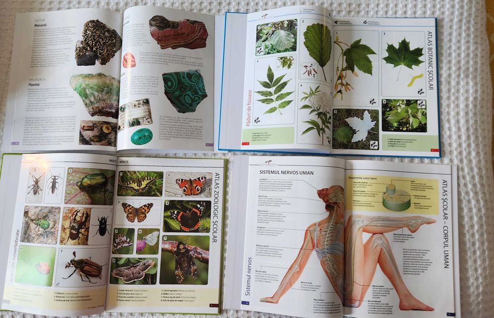 Set 4 atlase scolare noi