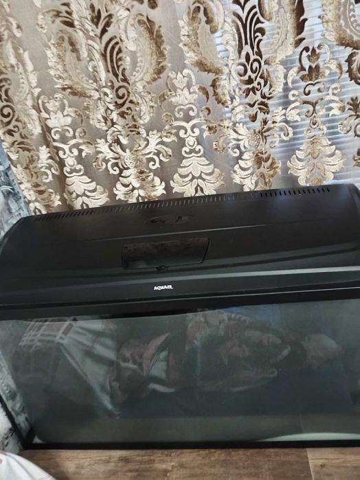 Аквариум заватской 200л.