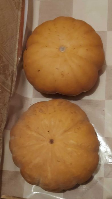 Спелая сочная Тыква.