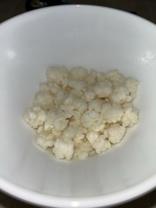 Vand ciuperca tibetana pentru Kefir