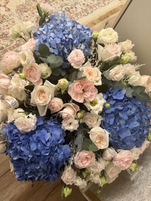 Продам цветы недорого