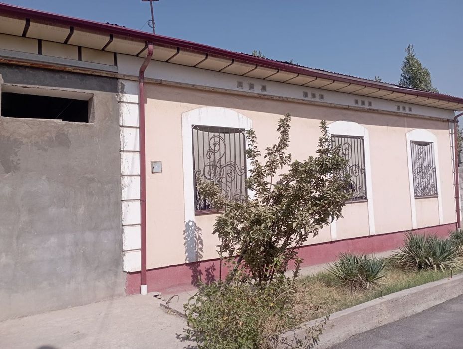 Kotej Hovli(Orienter Solnichniy)