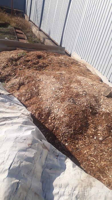 Апилка по выгодной цене