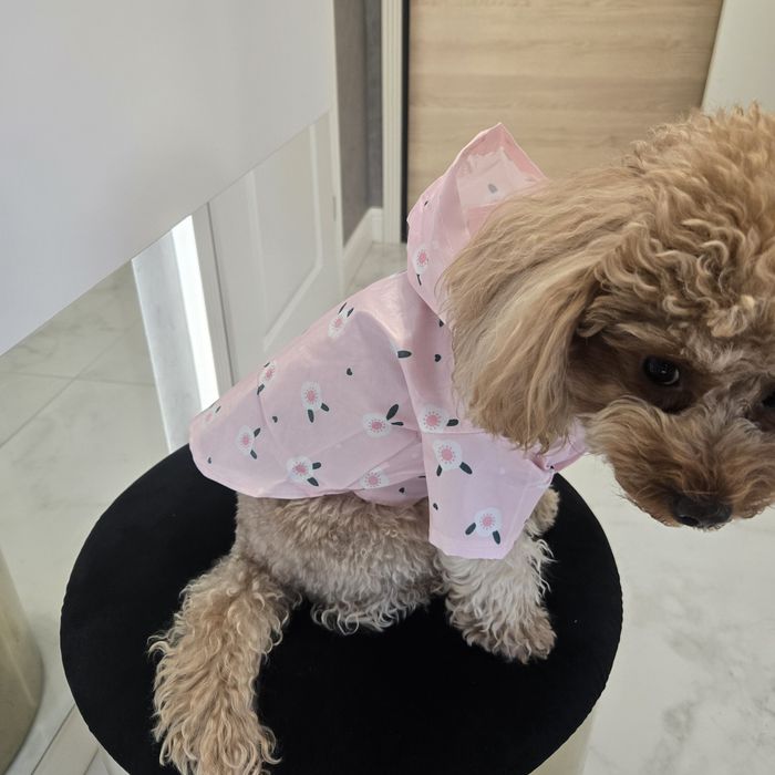 Дъждобран Pink  Flower