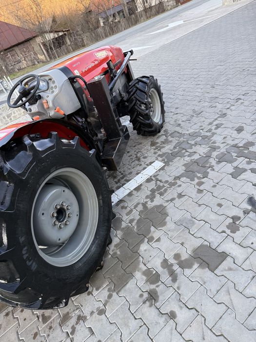 Same Frutetto 3, 2013