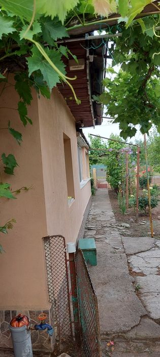 Casa batraneasca de vanzare (Teilor / 67)