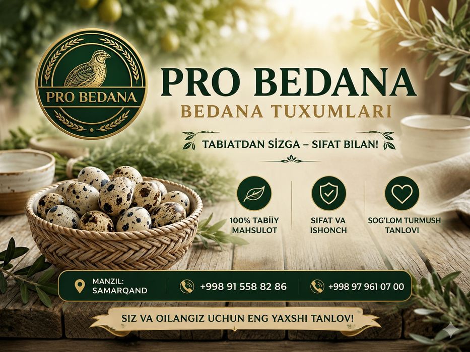 Bedana tuxum sotiladi