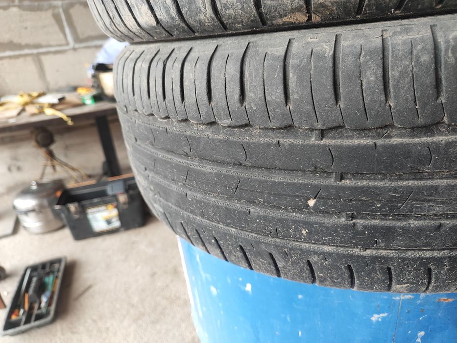 Жазгы донгелектер сатылады