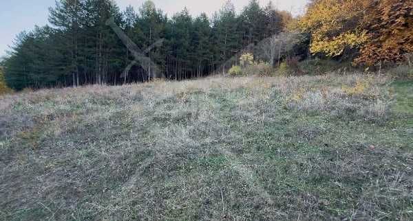 Продава се Парцел в с. Тополово, Област Пловдив - 1280 кв.м за 43 €/кв.м - Снимка #1