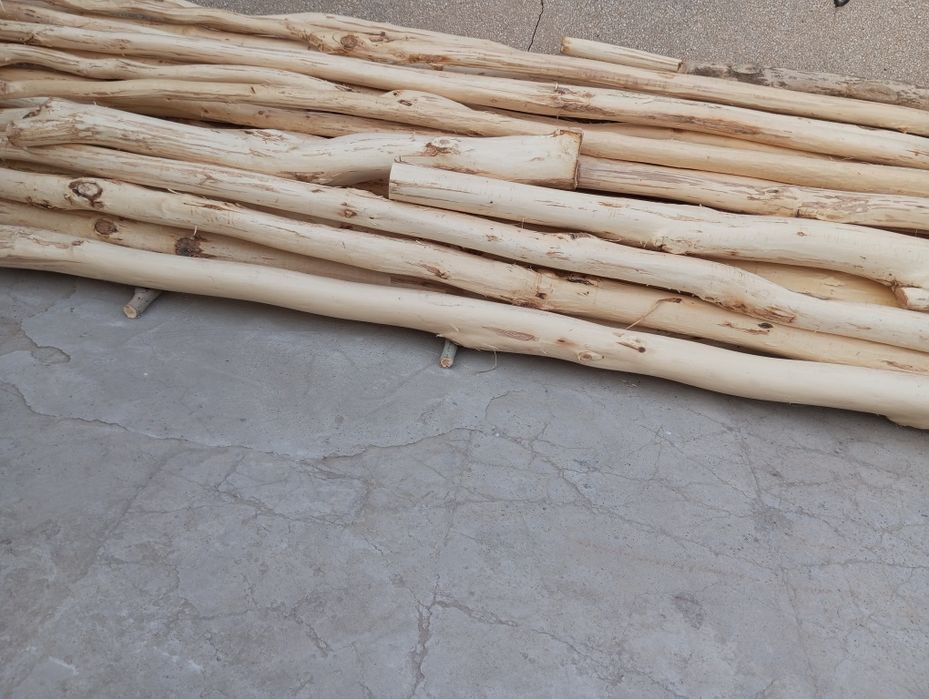 Teraklar holati zõr