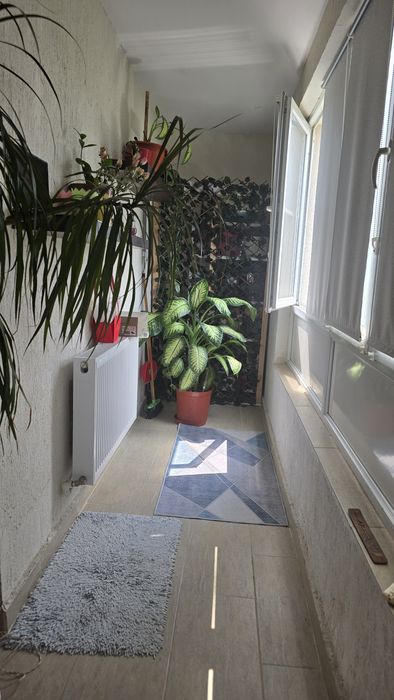 Apartament 3 cam