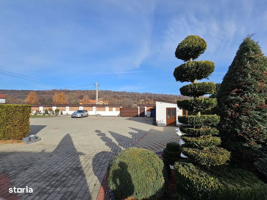 Pensiune+VILA, NOU: Casa Elena Sibiel, Terasa, Garaj, Renovata|VIDEO