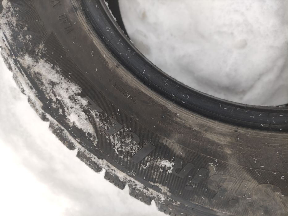 Зимние шины сибириан