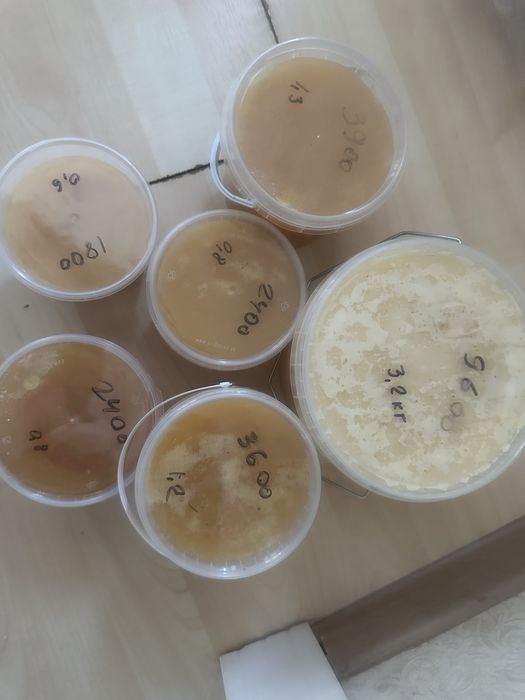 Мед натуральный 2025 года