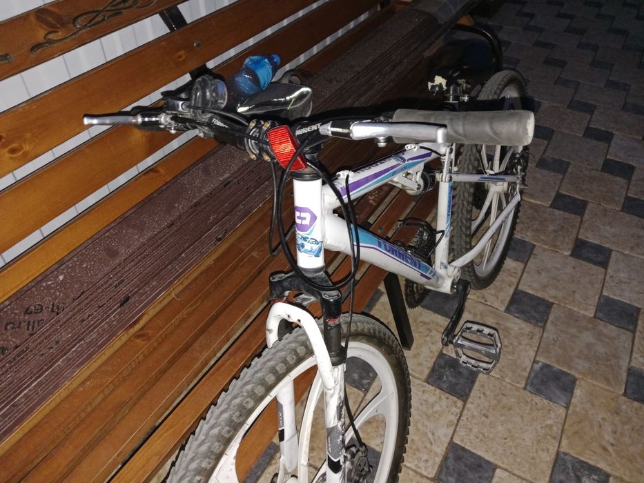 Torrent Optitron 2020 года