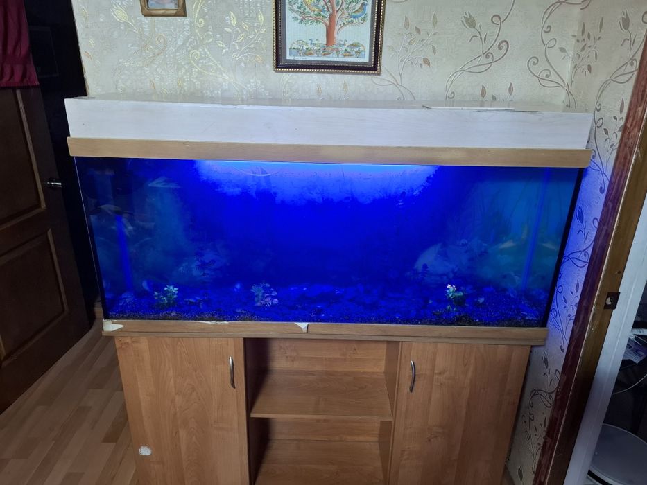 Аквариума на 200 литров