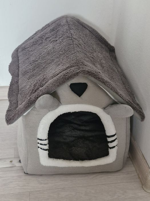 Кошка британская