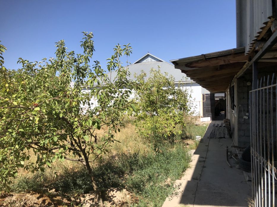 Срочно!!! Продаем большой дом. Черновод(Қарасу)