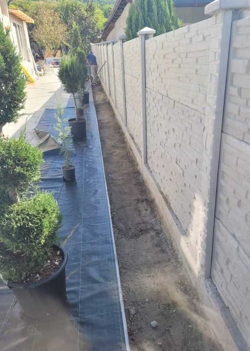 Plante Decorative cu Aspect Natural pentru Curți