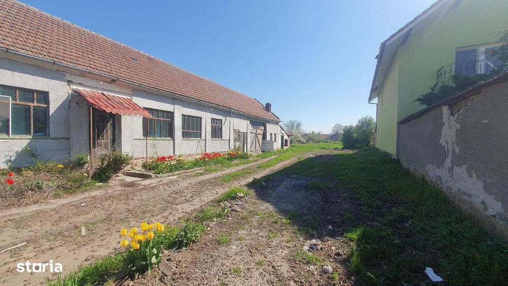 Vand teren cu casa veche in Zadareni - ID : RH-37250-property