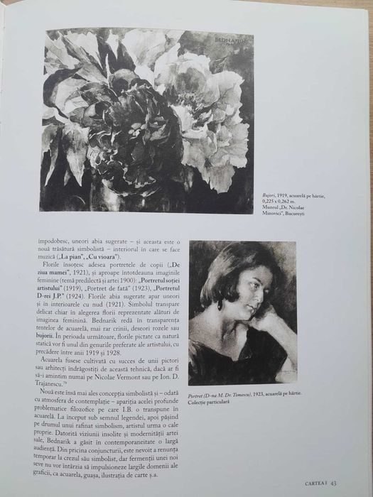 Album Familia Bednarik in arta romaneasca - Alexandru Davidian-SIGILAT