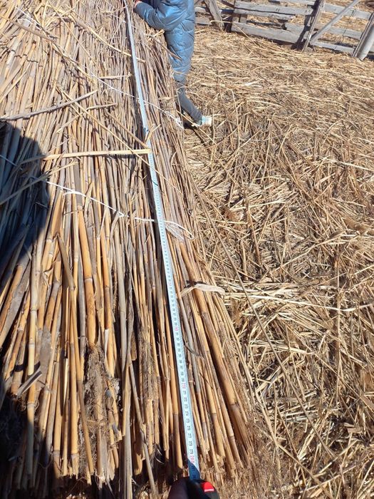 Қамыс (маты плита)