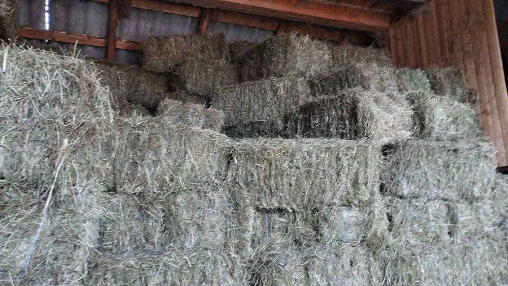 Vând balotii de fân