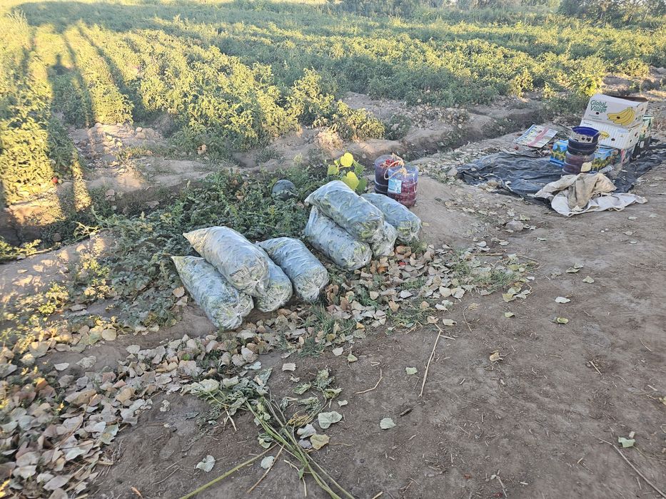 Продаётся  бизнес