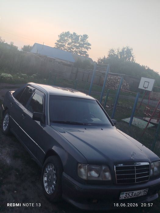 Продам мерина в хорошем состоянии