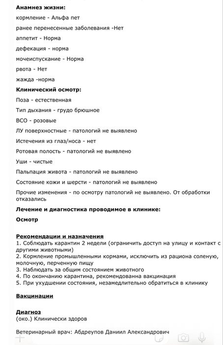 Кошечка в добрые руки