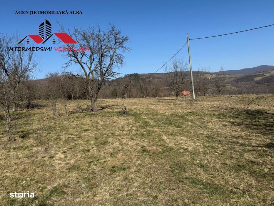 Casa si anexe cu un teren de 7701 mp de vanzare in Stauini  Jud Alba