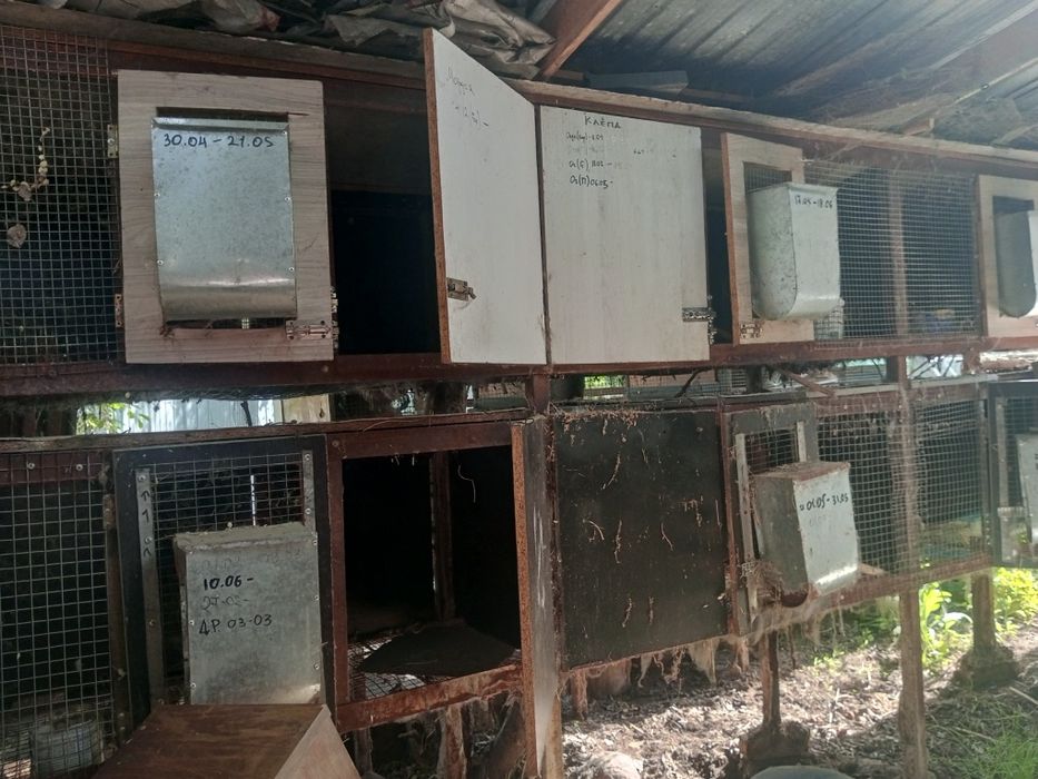 Клетки для кроликов